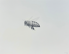 Bee 5