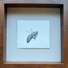 Little Bee 2