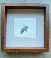 Little Bee 2