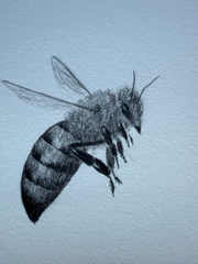 Little Bee 2