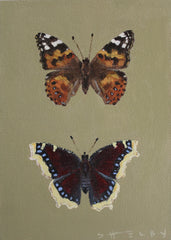 Painted Lady & Mourning Cloak
