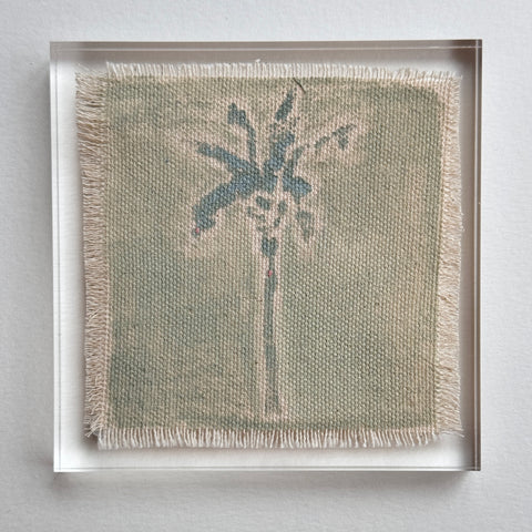 Original Hurricane Palm 11
