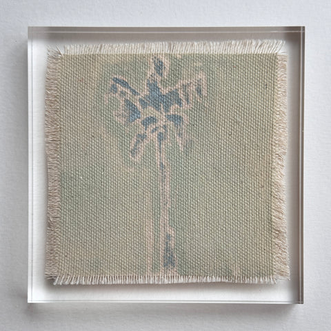 Original Hurricane Palm 14