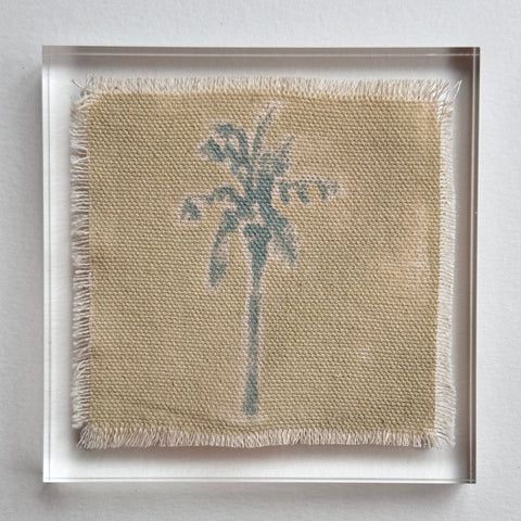 Original Hurricane Palm 15