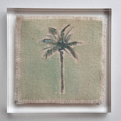 Original Hurricane Palm 19
