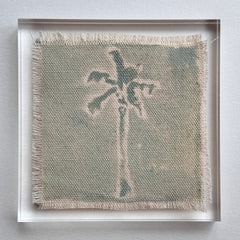 Original Hurricane Palm 20
