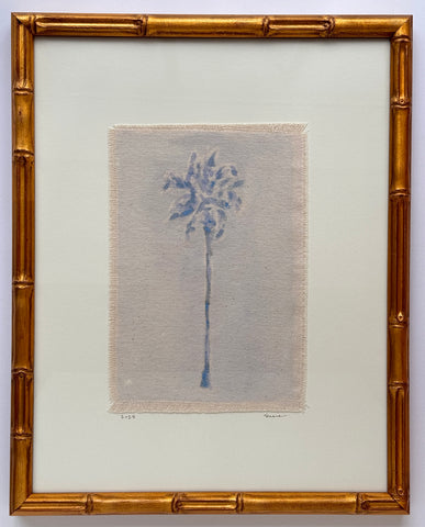 Original Hurricane Palm XL 2