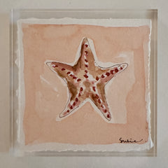 Original Seashell 21
