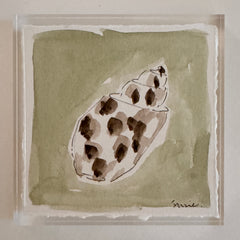 Original Seashell 26