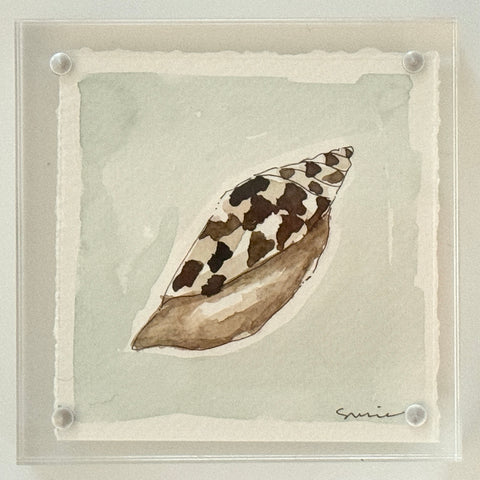 Original Susie Shell No. 18