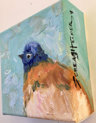Bluebird Profile