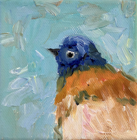 Bluebird Profile