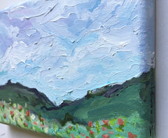 Wildflowers in the Mountains