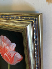 Tulip Study IV