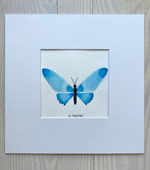 Butterfly No. 6