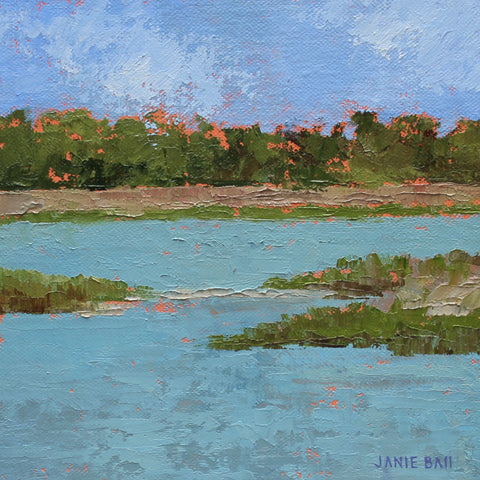 Capturing Cove