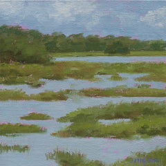 Citadel Marsh Study