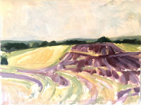 Lavender Fields