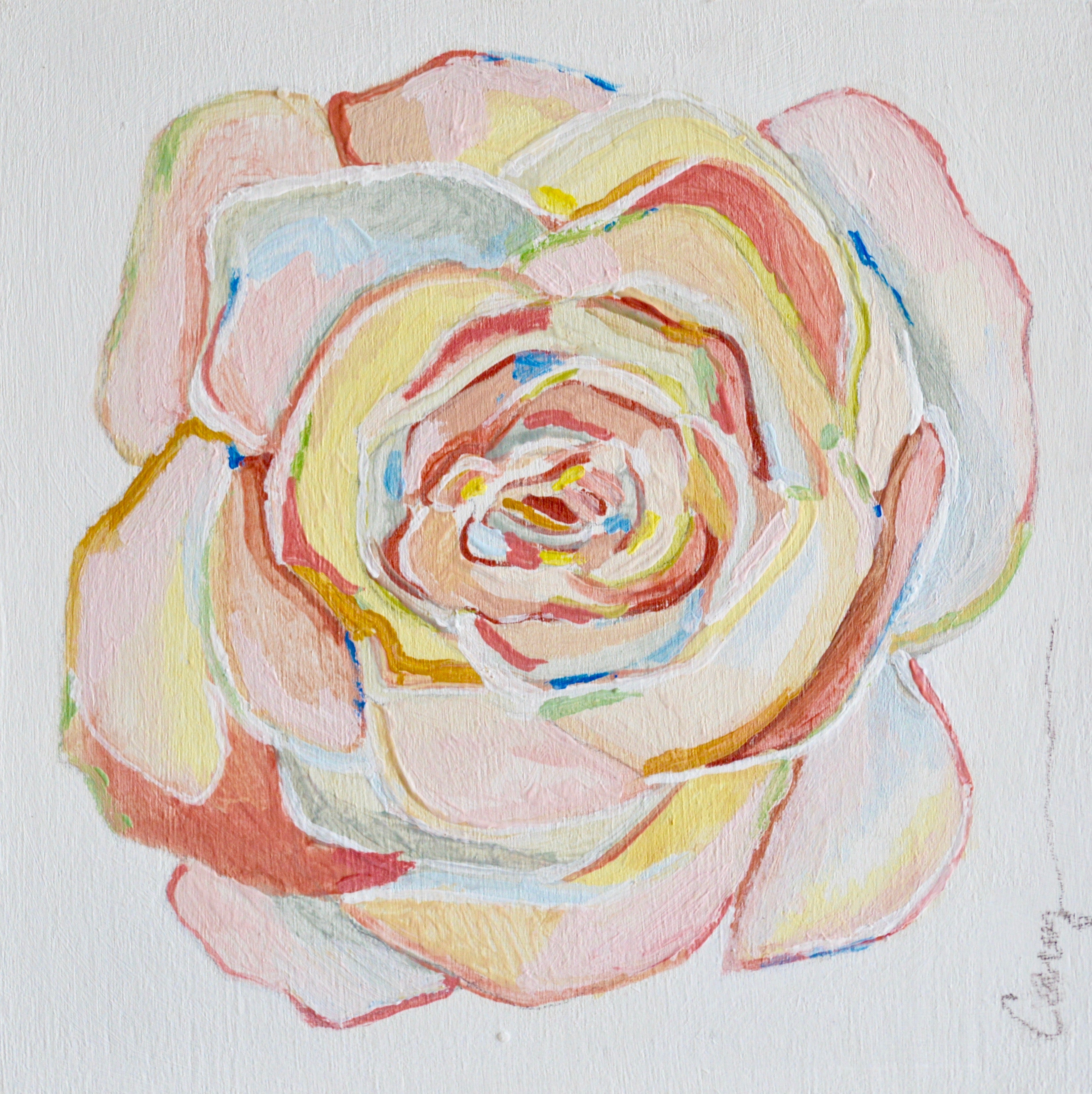 Rose of Many Colors