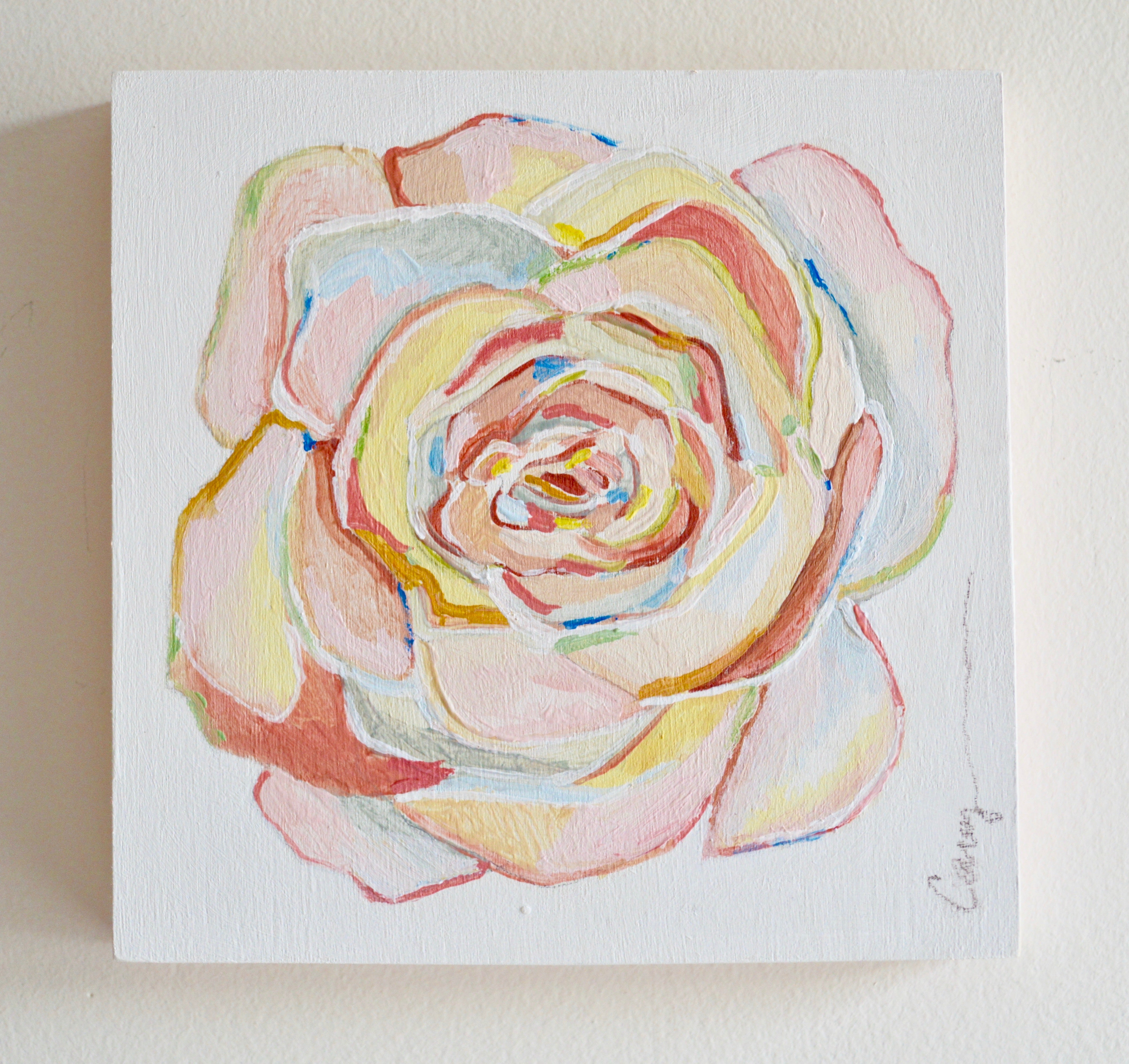 Rose of Many Colors