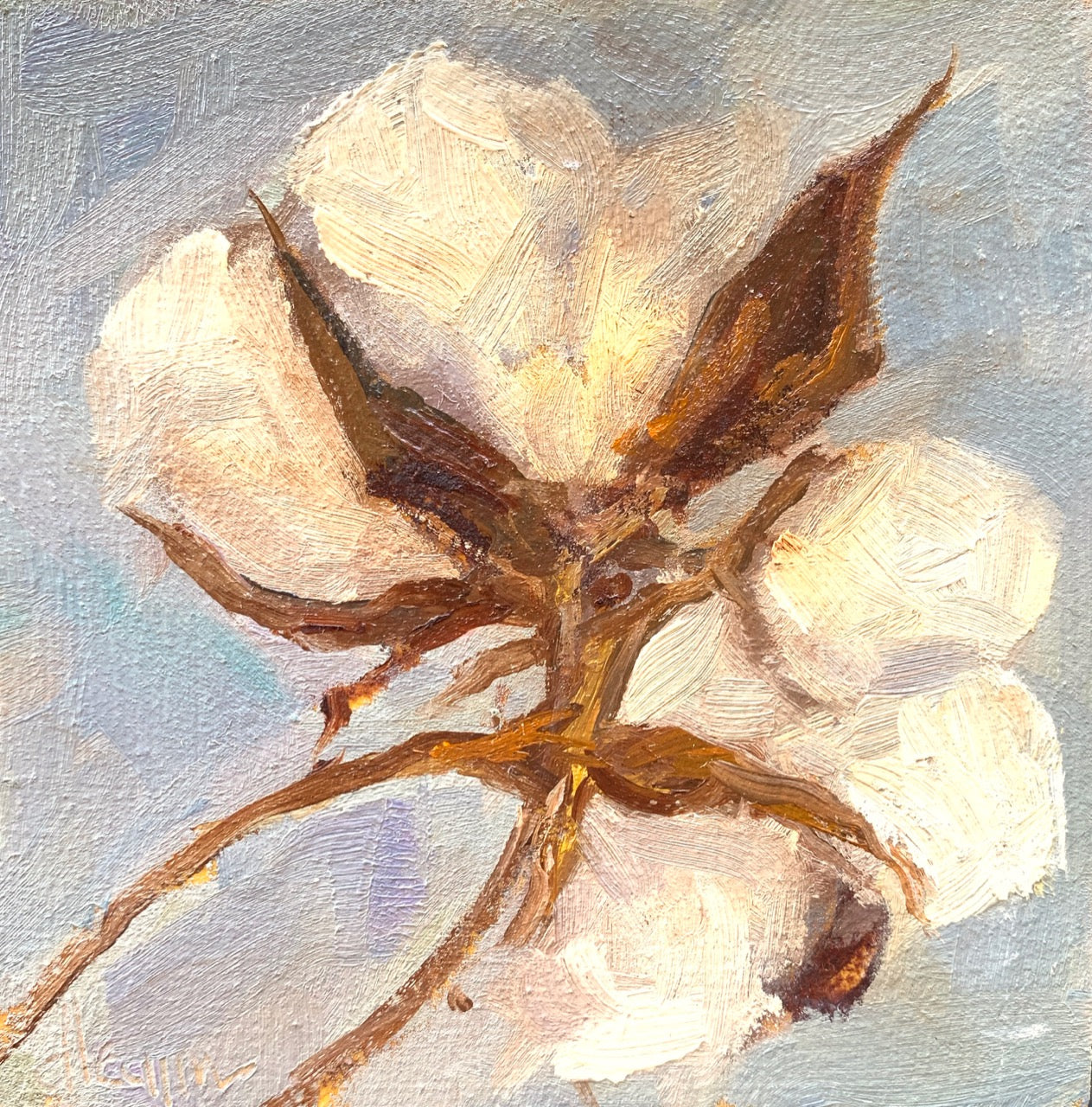 Cotton V