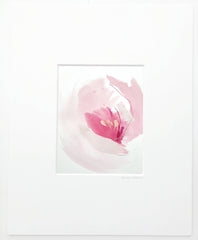 French Tulip 1
