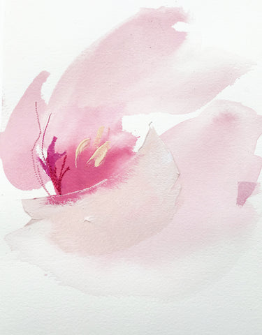 French Tulip 2