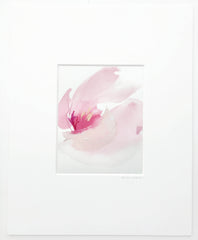 French Tulip 2