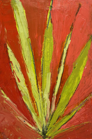 Desert Plant