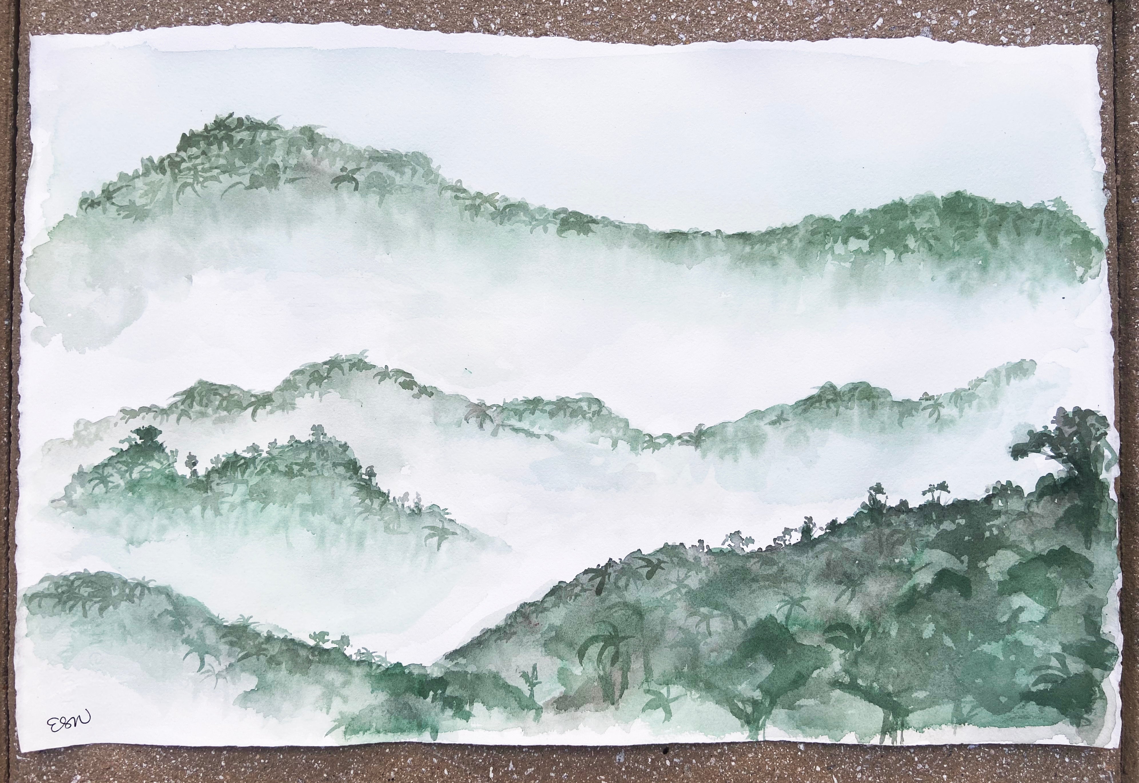 Cloud Forest