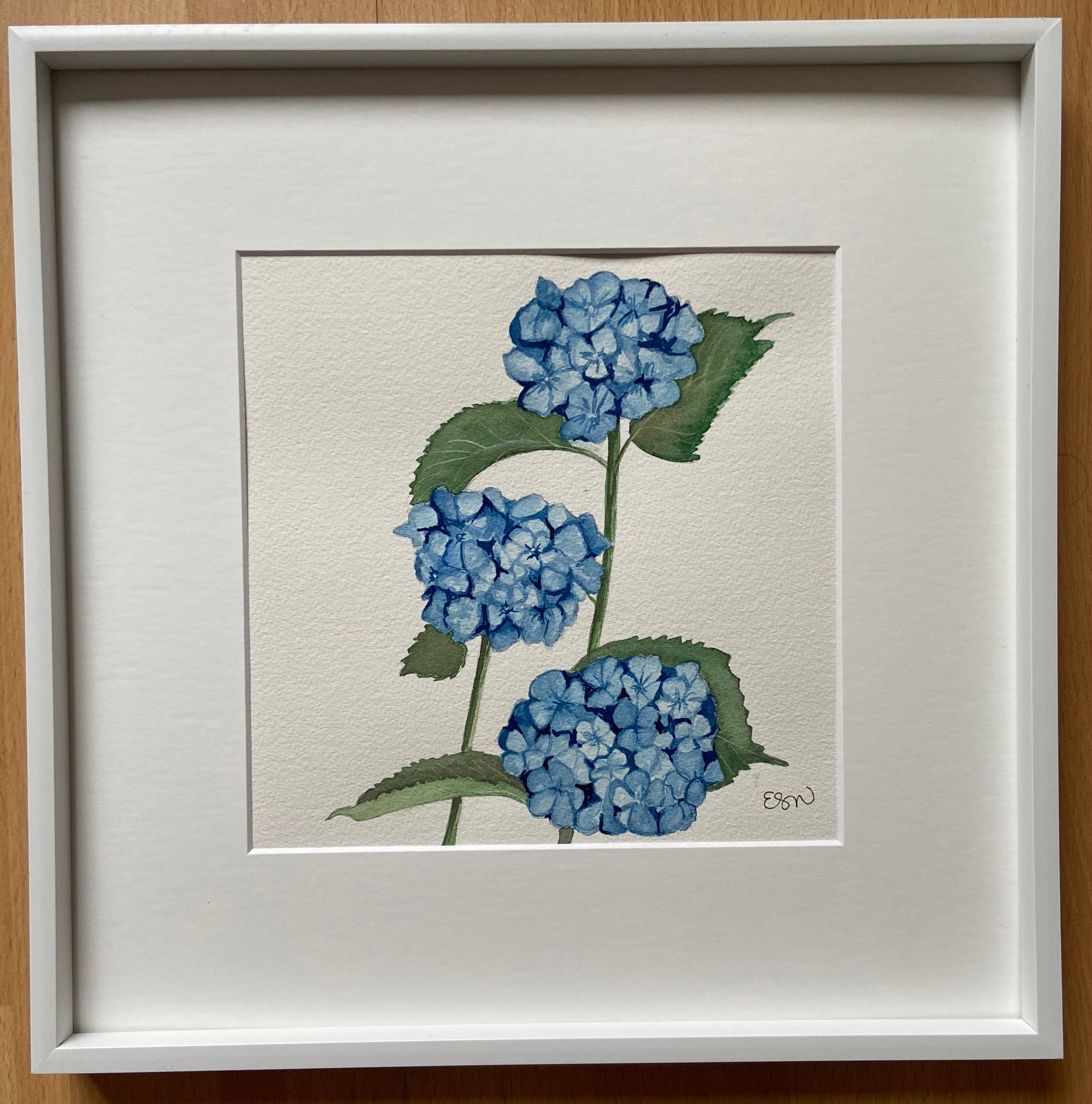 Hydrangeas