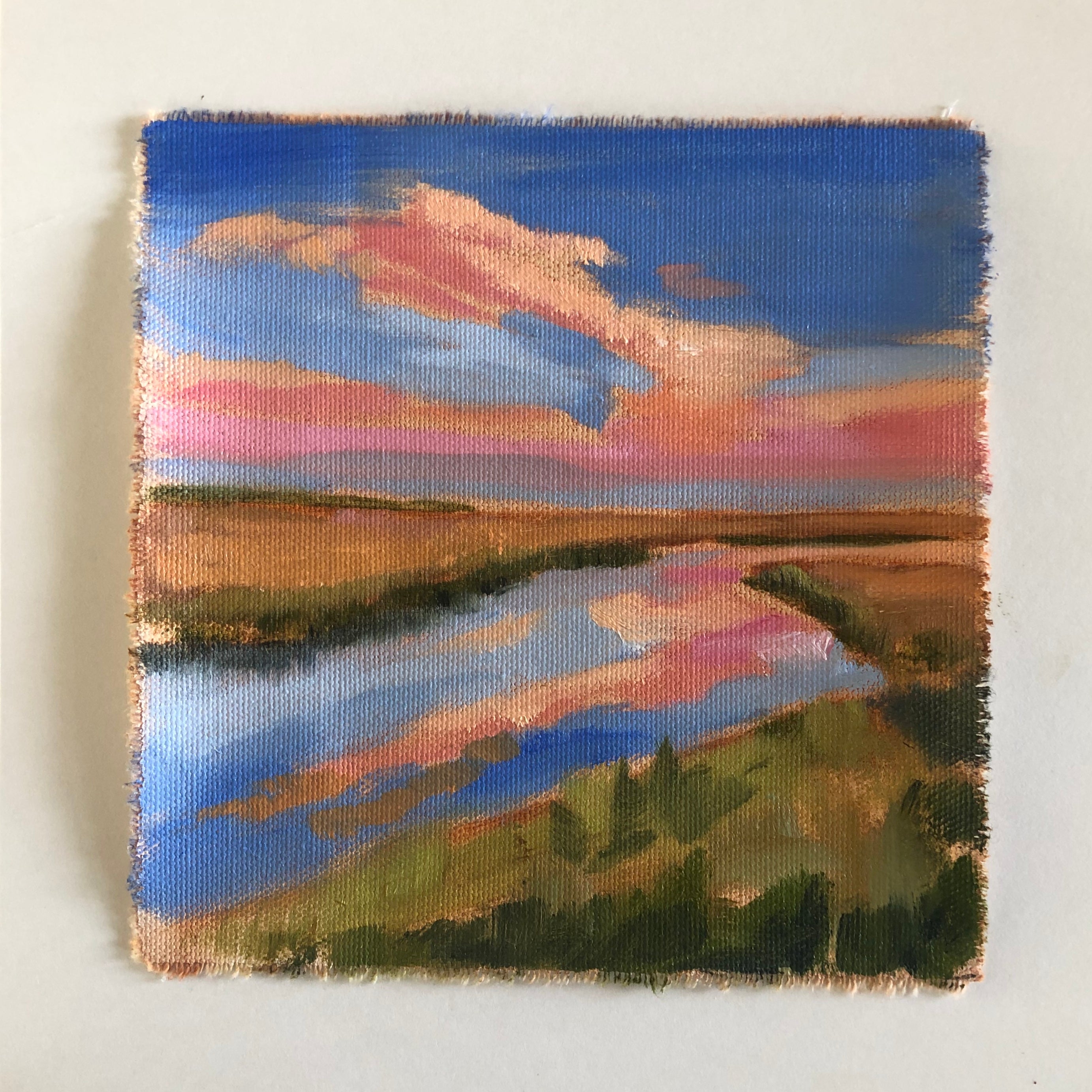 Evening Glory