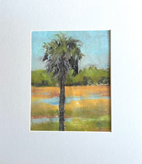 Solo Palmetto