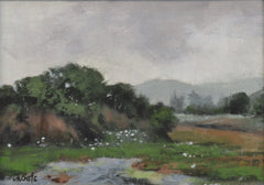 Arroyo