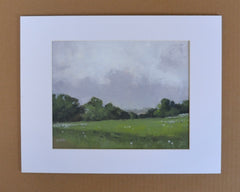 Hill Country Spring