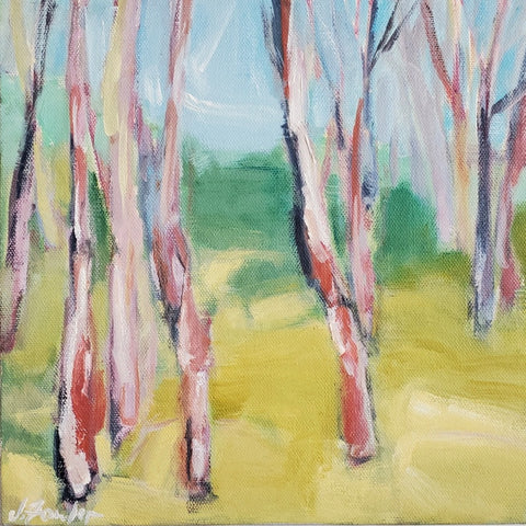 Summer Forest
