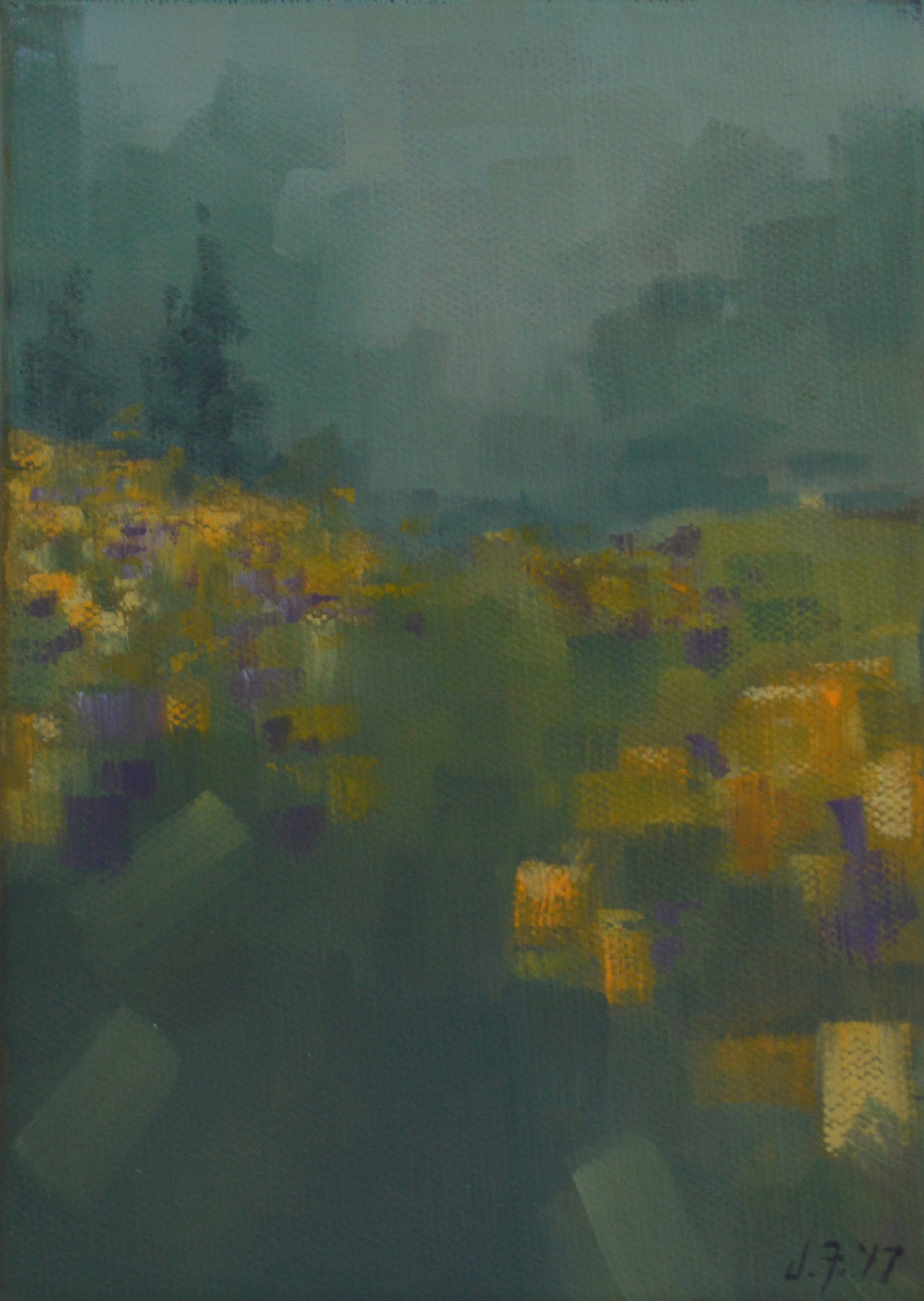 Foggy Meadow