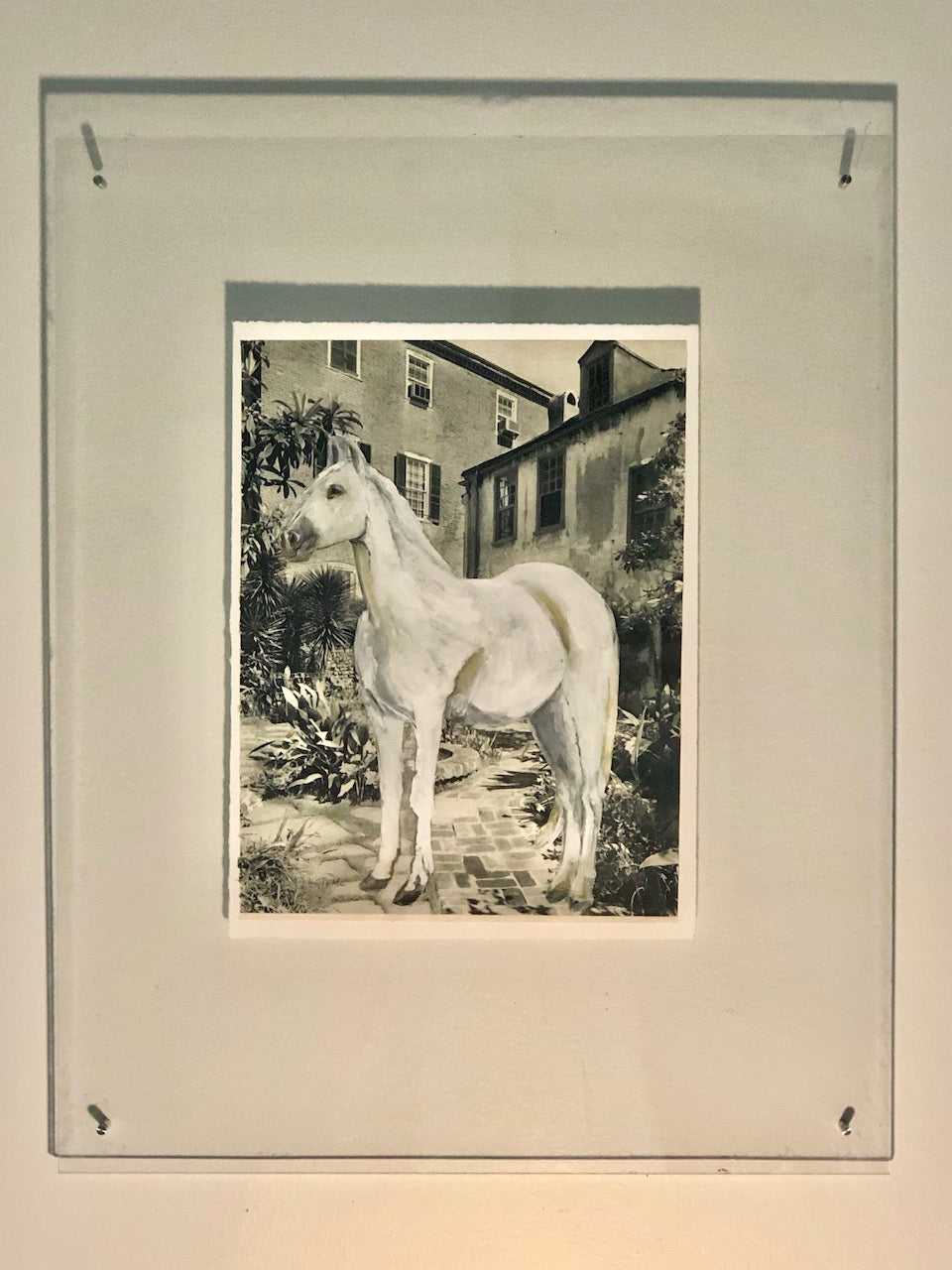 In the Courtyard