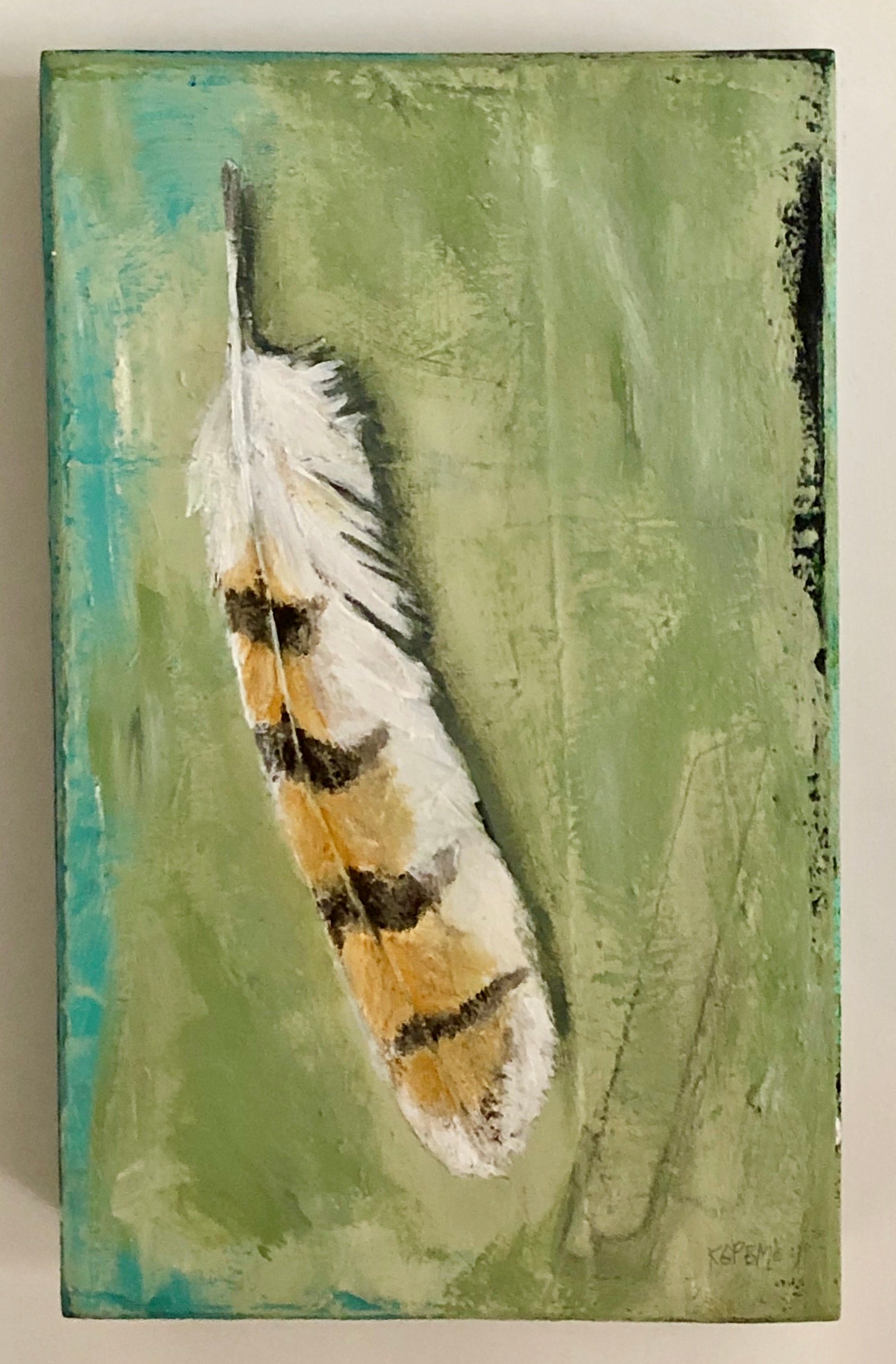 Barn Owl Feather