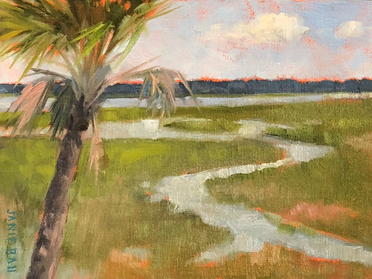 Lone Palmetto Tree