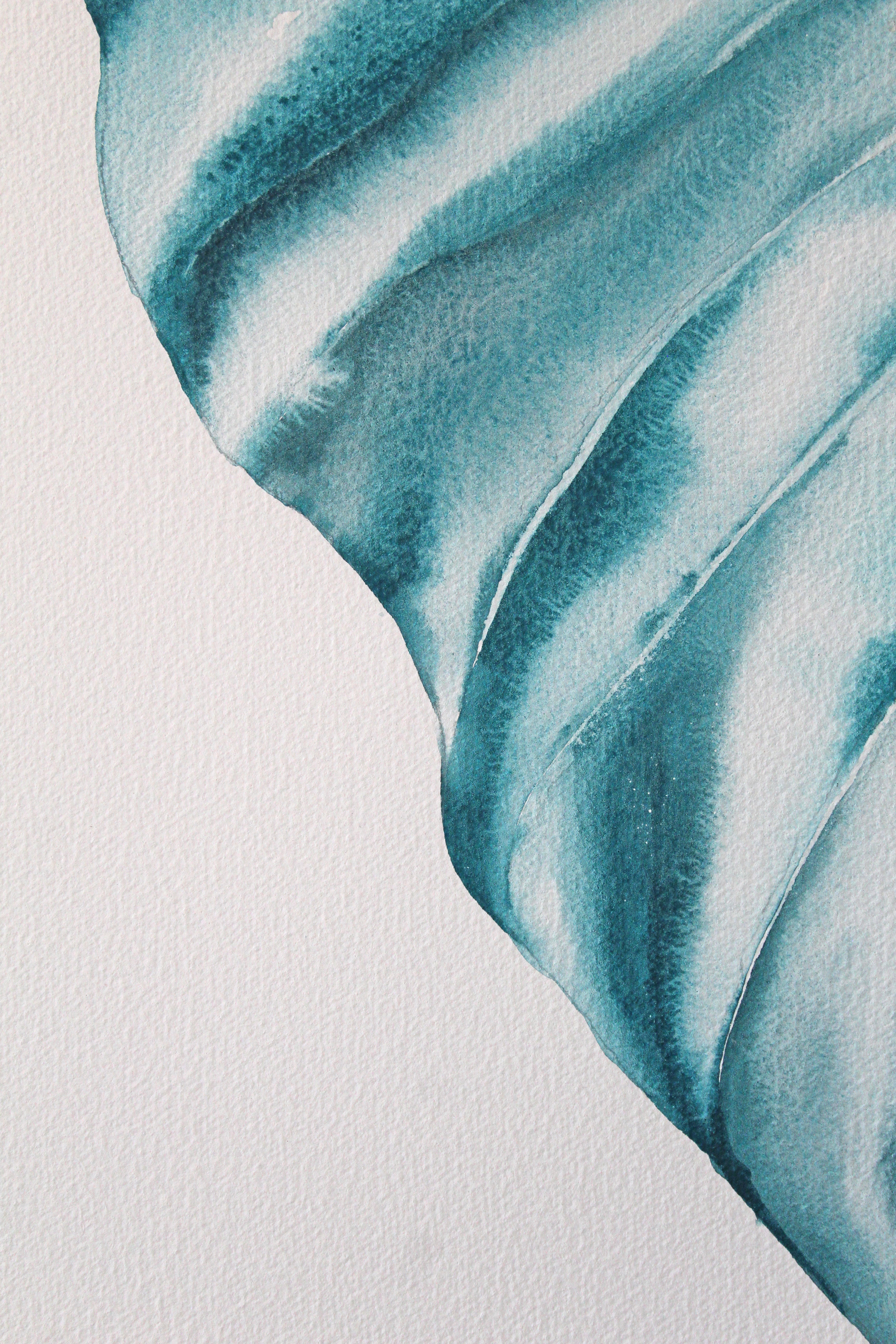 Green Philodendron