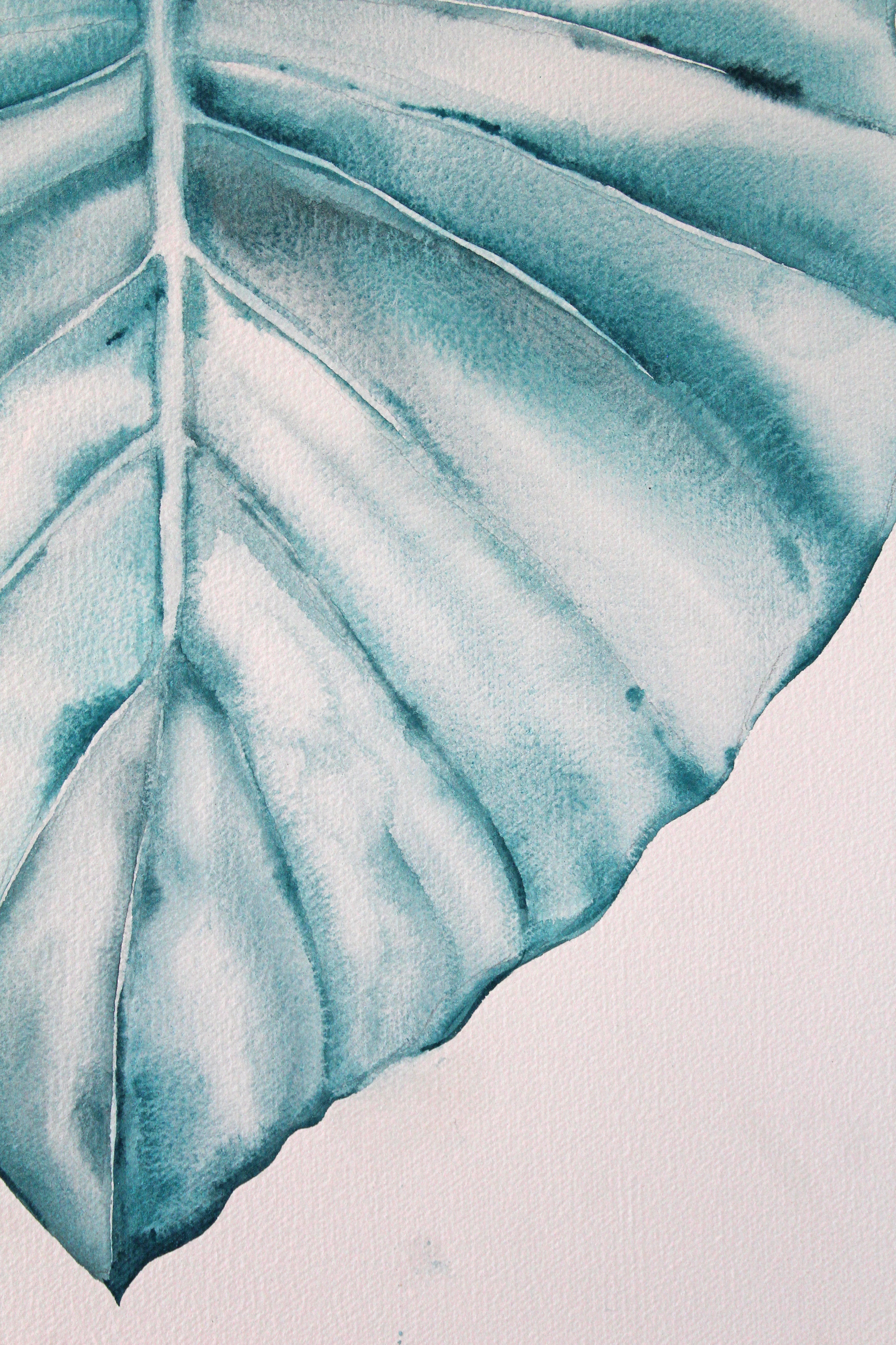 Green Philodendron