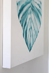 Green Philodendron