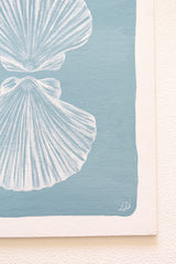 Shell Reflection