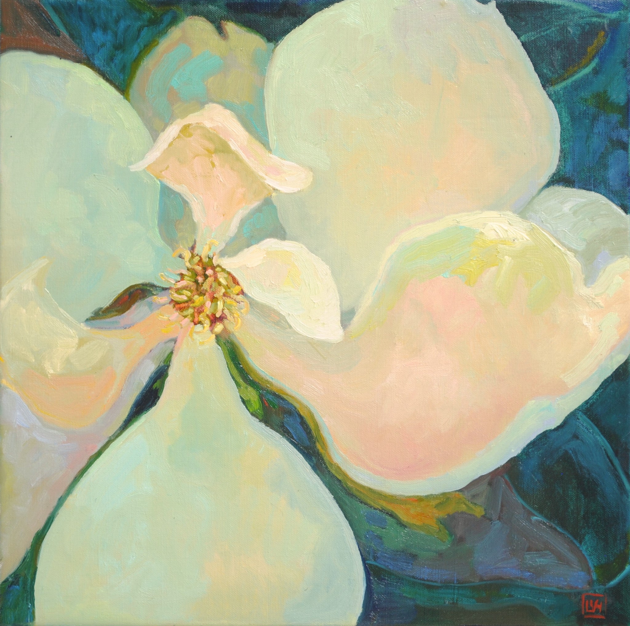 Magnolia Bloom