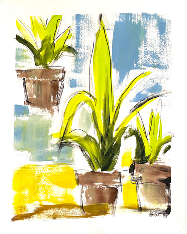 Fern