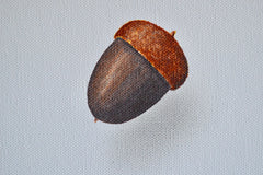 Floating Acorns