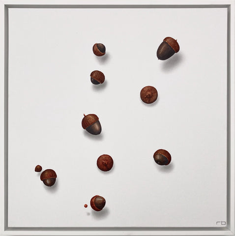 Floating Acorns