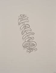 Abstract Succulent IV