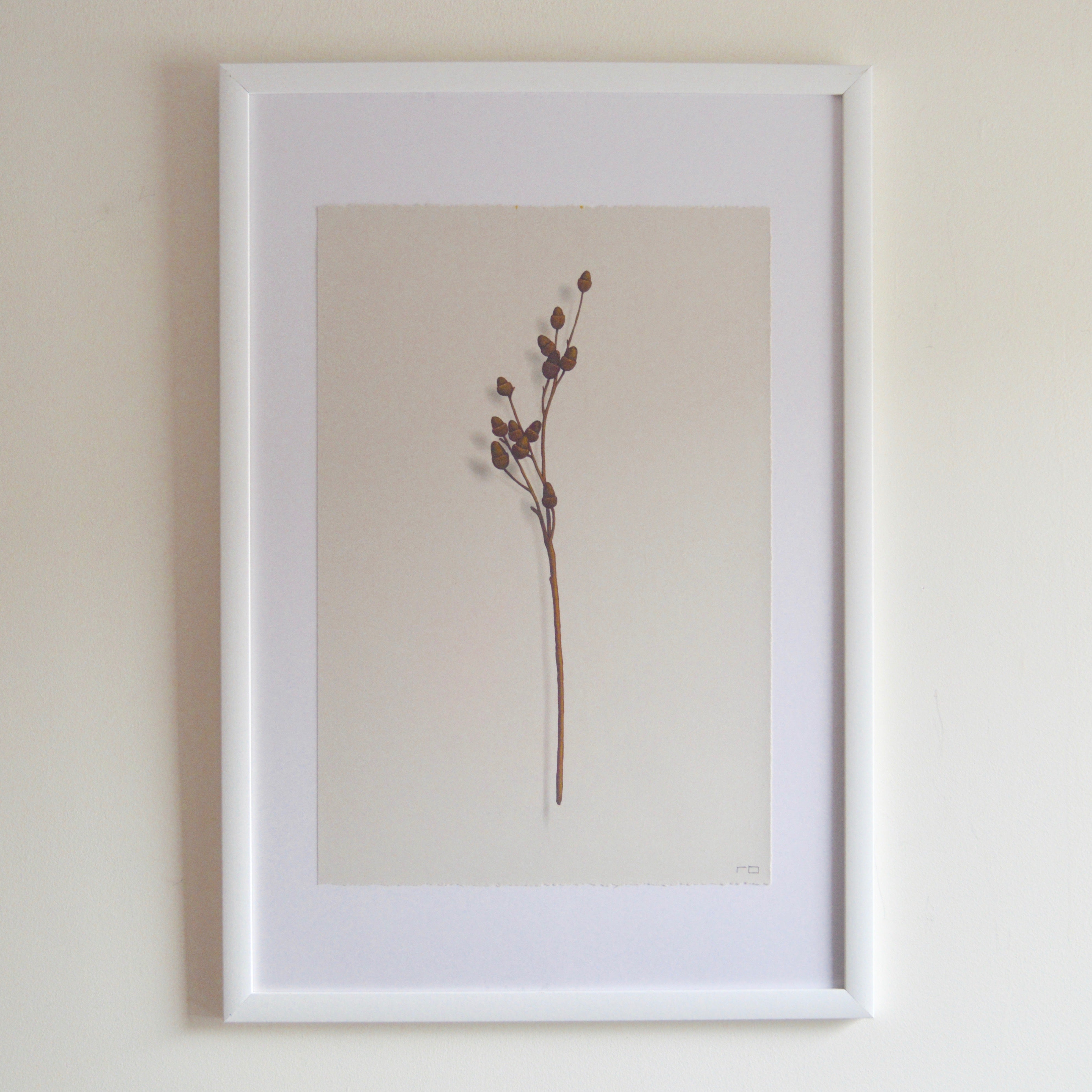 Acorn Branch 2